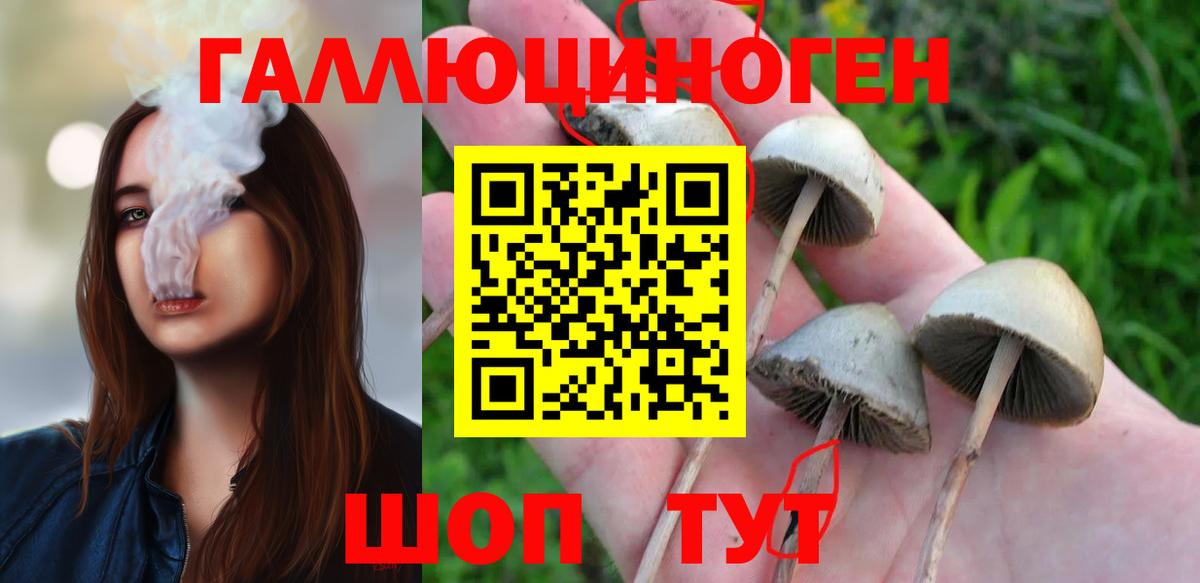 Звенигород  Галлюциногенные грибы Magic Shrooms  купить наркотик  Псилоцибиновые грибы Cubensis  Вход с VPN 