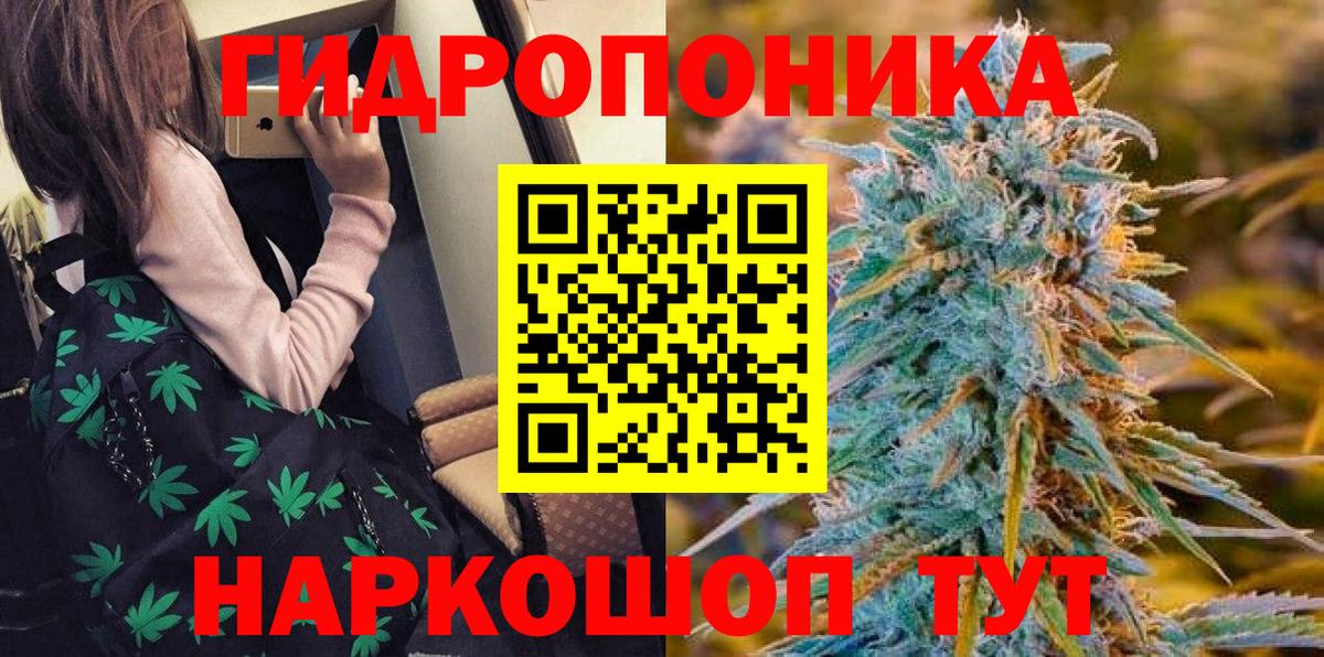 Канабис семена Звенигород